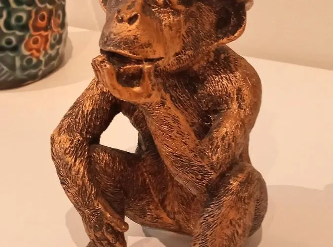 Don Manuel קורדובה