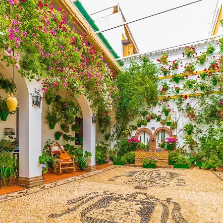 Don Manuel Appartement *